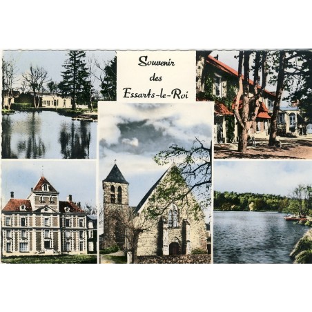 cp94-souvenir-des-essarts-le-roi-multi-vues