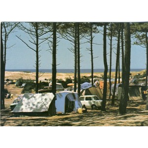 cp40-moliets-plage-camping-saint-martin