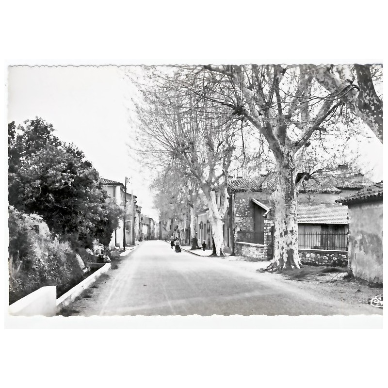 CP83 LA ROQUEBRUSSANE - LA RUE DU PORTAIL CP83 LA ROQUEBRUSSANE - LA RUE DU PORTAIL