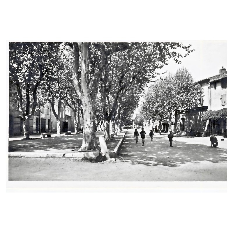 CP83 ROUGIERS - LE COURS ET LE MONUMENT AUX MORTS CP83 ROUGIERS - LE COURS ET LE MONUMENT AUX MORTS