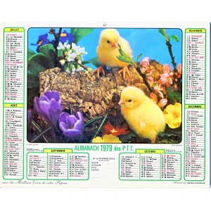 CALENDRIER ALMANACH 1979 CHATONS ET POUSSINS