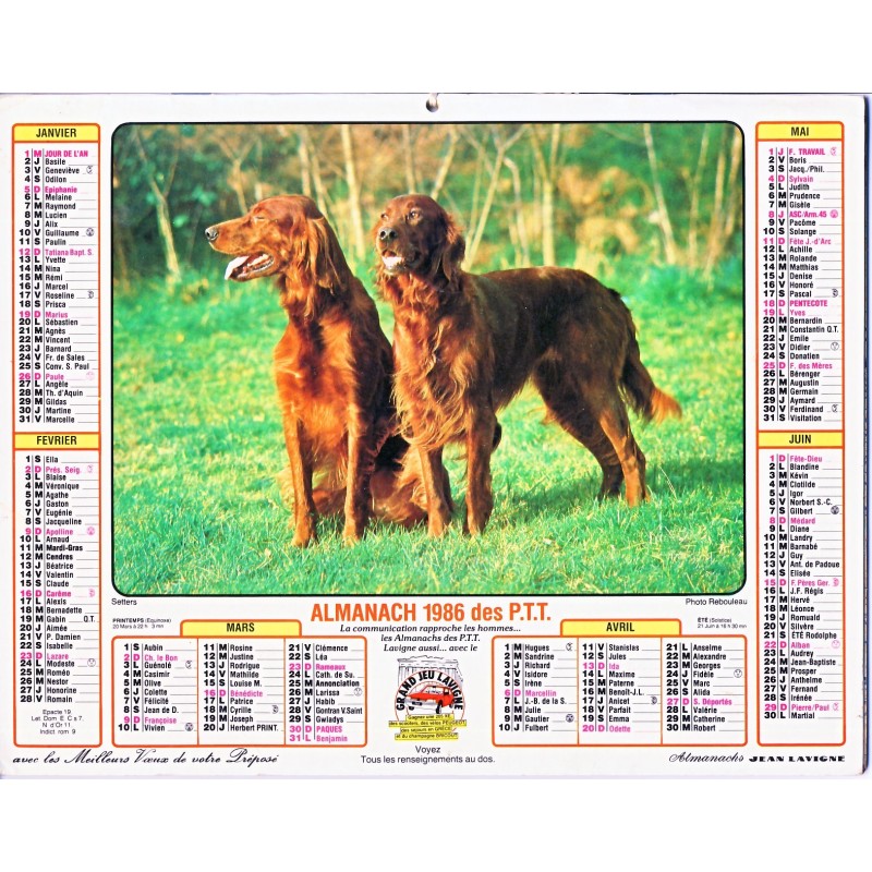 CALENDRIER ALMANACH 1986 SETTERS ET BERGER ALLEMAND