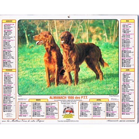 CALENDRIER ALMANACH 1986 SETTERS ET BERGER ALLEMAND