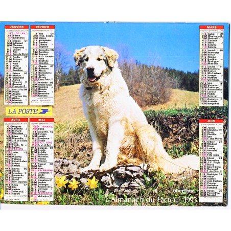 CALENDRIER ALMANACH 1993 BERGER DES PYRENEES ET LABRADORS JAUNES