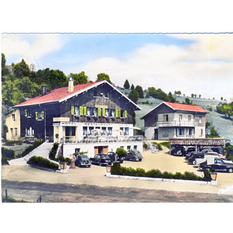 CP88 GERARDMER - LES BAS RUPTS - LE CHALET FLEURI