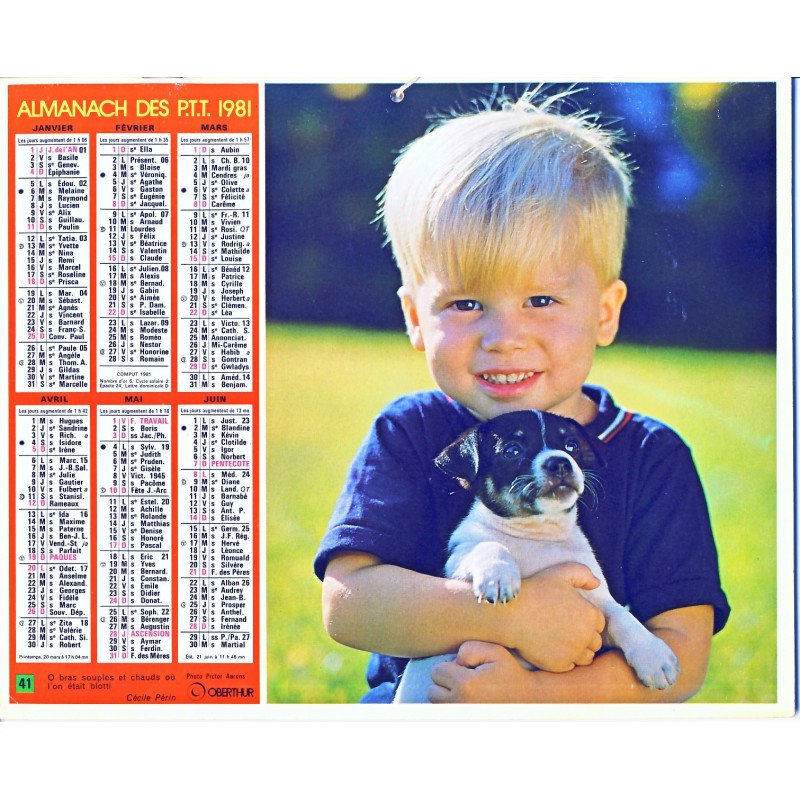 CALENDRIER ALMANACH 1981  CHAT ET CHIEN