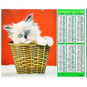 CALENDRIER ALMANACH 1981  CHAT ET CHIEN