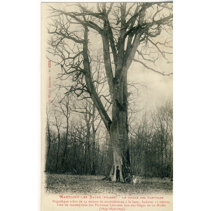 CP88 MARTIGNY LES BAINS - LE CHENE DES PARTISANS