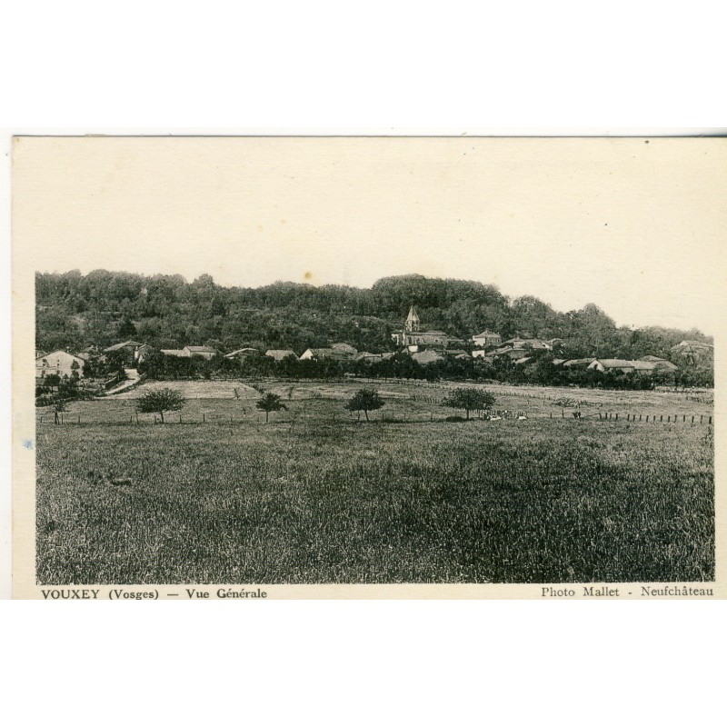 CP88 VOUXEY - VUE GENERALE