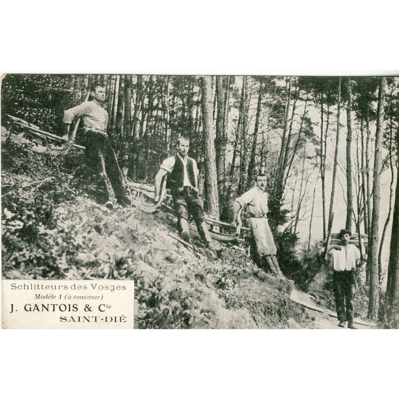 CP88 SAINT DIE - SCHLITTEURS DES VOSGES