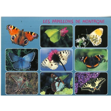 CARTE LES PAPILLONS DE MONTAGNE  MULTIVUES