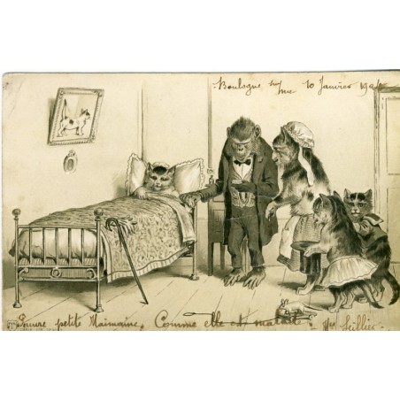 CARTE POSTALE ANCIENNE GAUFREE CHATS HUMANISES