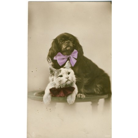 CARTE POSTALE CHIEN ET CHAT