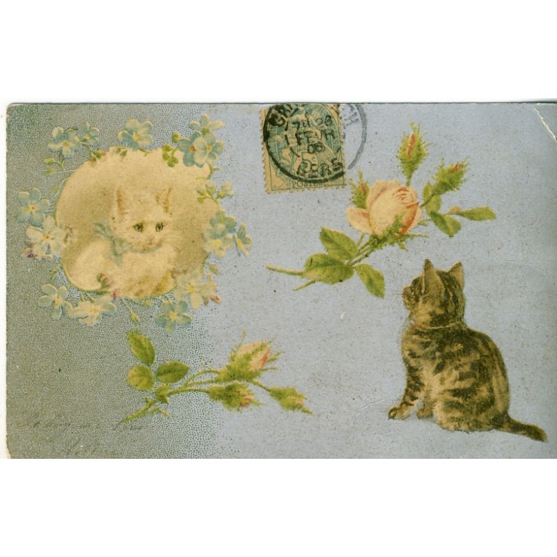 CARTE POSTALE ANCIENNE CHATS ET ROSES