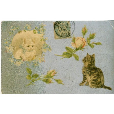 CARTE POSTALE ANCIENNE CHATS ET ROSES