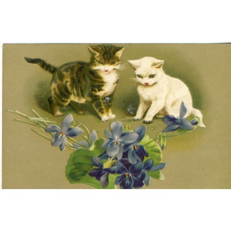 CARTE POSTALE CHATONS ET BOUQUET DE VIOLETTES