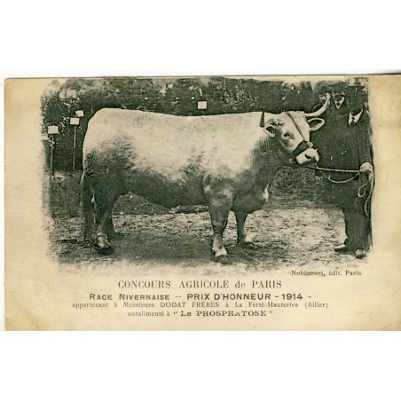 CARTE POSTALE PUBLICITAIRE - CONCOURS AGRICOLE DE PARIS RACE NIVERNAISE