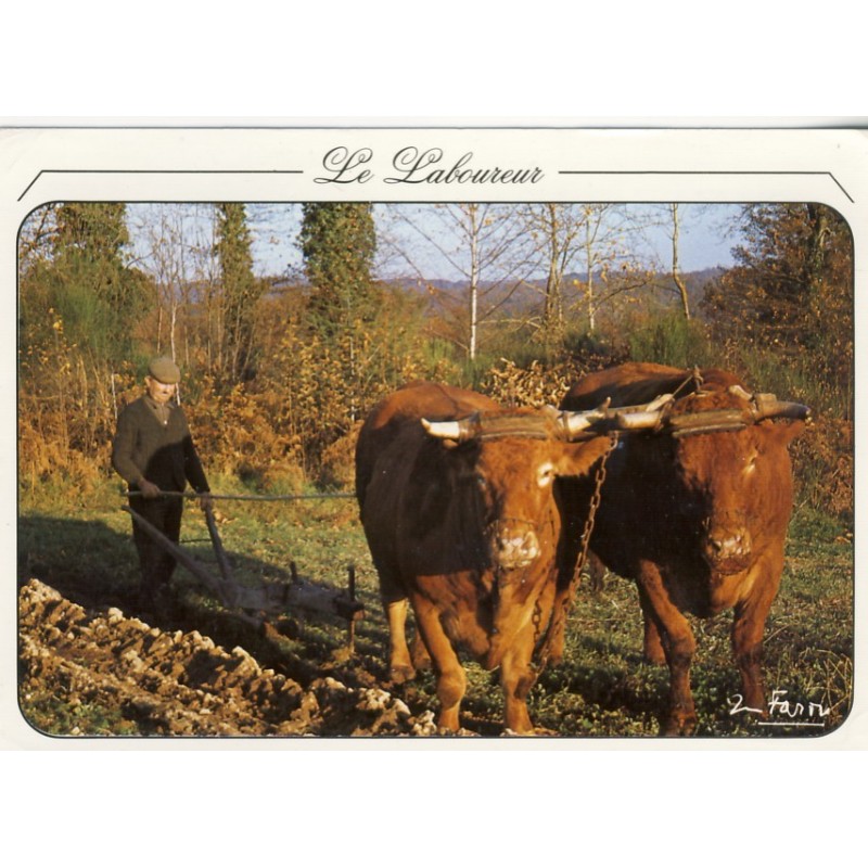 CARTE POSTALE LE LABOUREUR