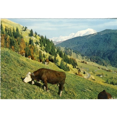 CARTE POSTALE VACHE AU PAYS DES ARAVIS