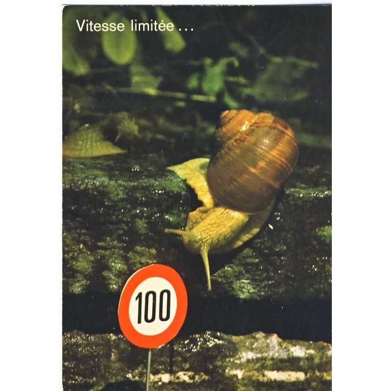 CARTE POSTALE ESCARGOT - VITESSE LIMITEE