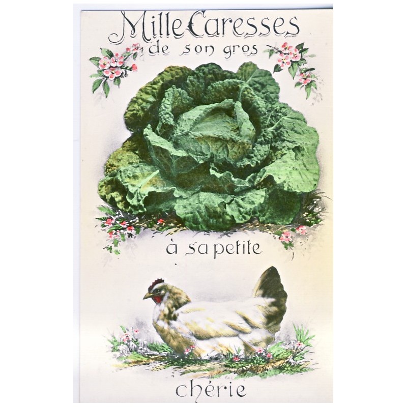 CARTE POSTALE CHOU ET POULE