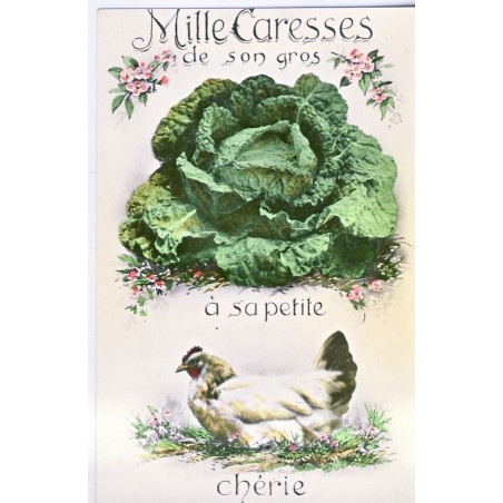 CARTE POSTALE CHOU ET POULE