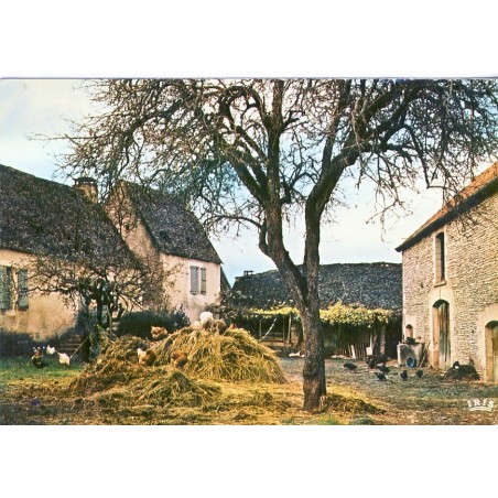 CARTE POSTALE COUR DE FERME AVEC VOLAILLE