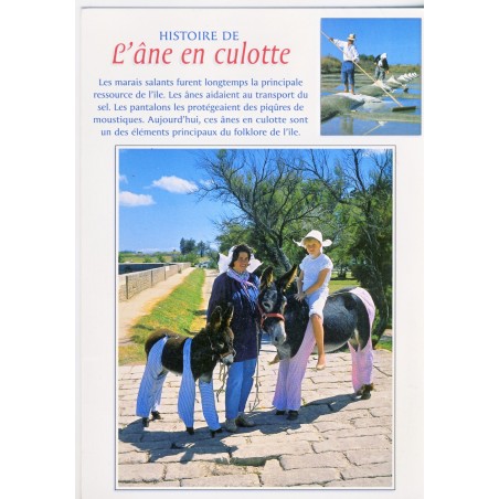 CARTE POSTALE HISTOIRE DE  L'ANE EN CULOTTE