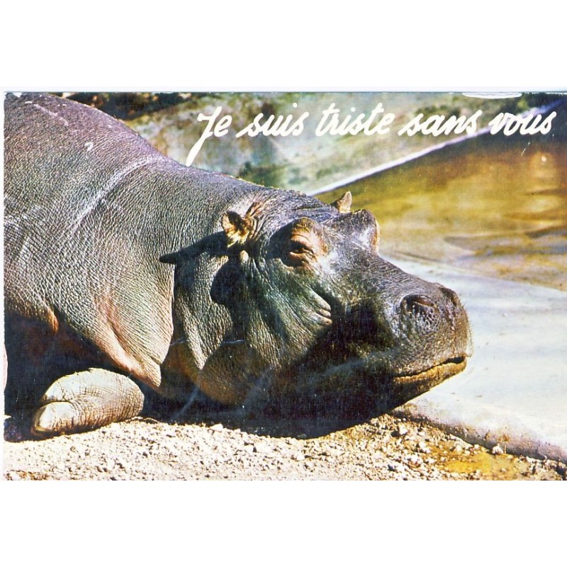 CARTE POSTALE HIPPOPOTAME - JE SUIS TRISTE SANS VOUS