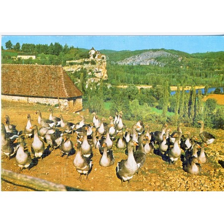 CARTE POSTALE LE LOT REPUTE POUR SES FOIES GRAS