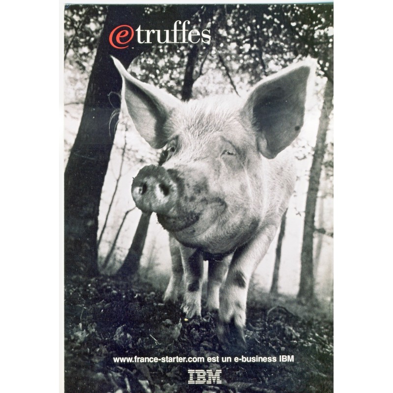 CARTE POSTALE IBM - TRUFFES - COCHON