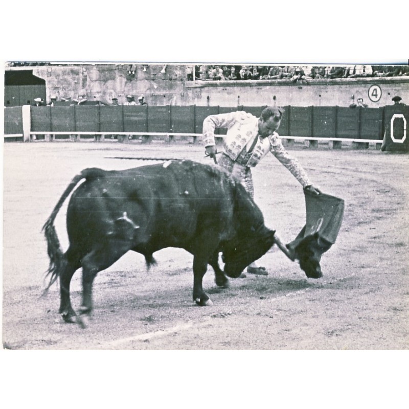 CARTE POSTALE PASSE NATURELLE RAFAEL ORTEGA