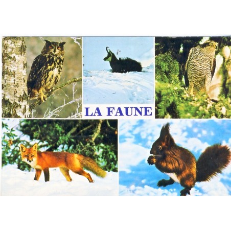 CARTE POSTALE FAUNE DES MONTAGNES EN HIVER