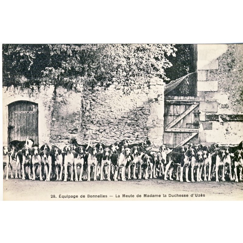 CARTE POSTALE CHASSE - EQUIPAGE DE BONNELLES - LA MEUTE