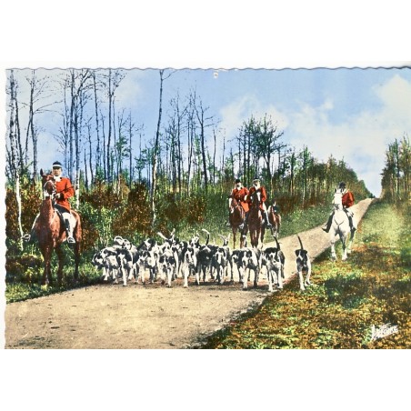 CARTE POSTALE CHASSE A COURRE - LE PIQUEUR ET SES CHIENS