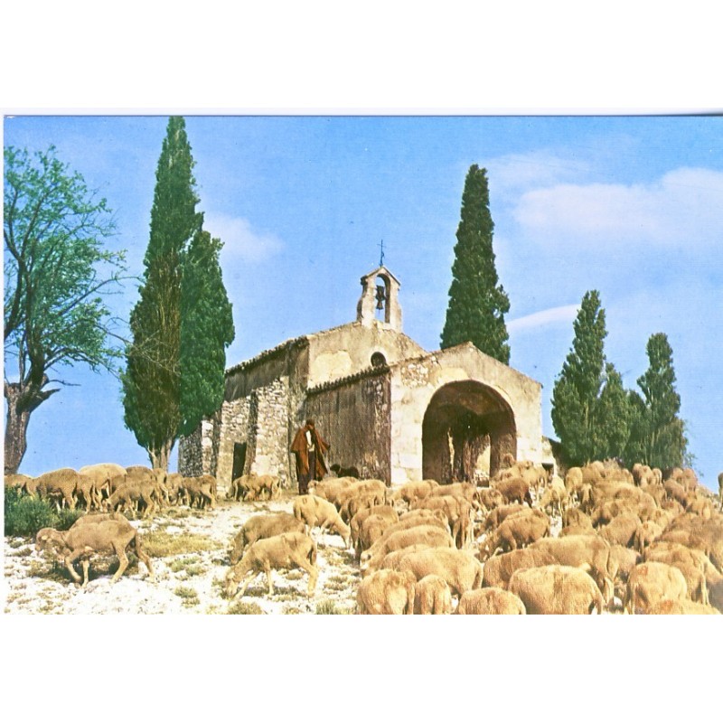 CARTE POSTALE MOUTONS - SYMPHONIE PASTORALE