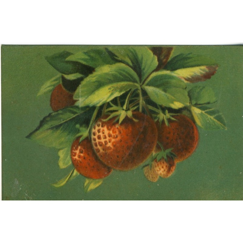 CARTE POSTALE FRUITS - FRAISES