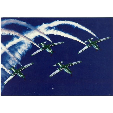 CARTE POSTALE AVIATION - PATROUILLE DE VOLTIGE AERIENNE ECCO