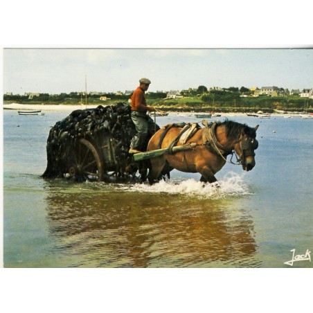 CARTE POSTALE CHARRETEE DE GOEMON