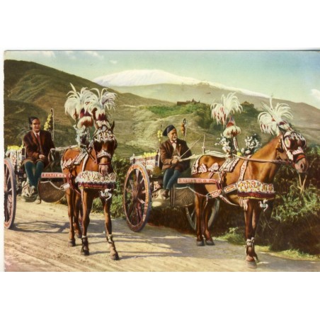 CARTE POSTALE CHEVAUX - CHARETTES SICILIENNES