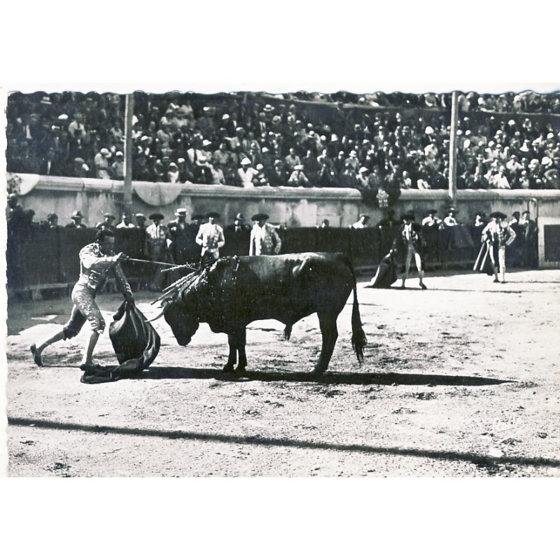 CP30 - COURSE DE TAUREAUX AUX ARENES ROMAINES