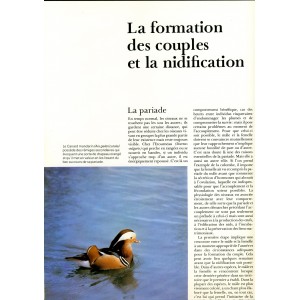 LIVRE - MONDE MERVEILLEUX DES OISEAUX