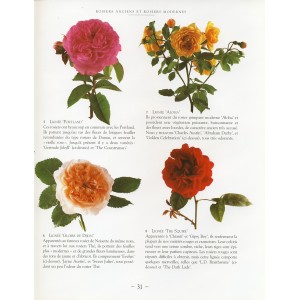 LIVRE - LES ROSES ANGLAISES DE DAVID AUSTIN