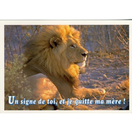CARTE POSTALE LION - UN SIGNE DE TOI