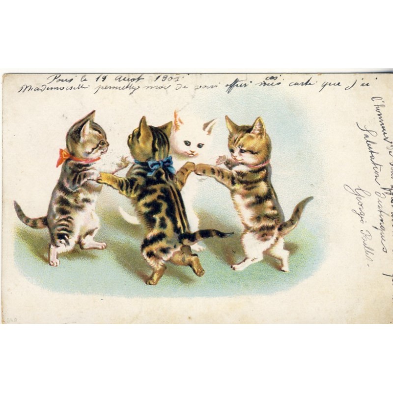 CARTE POSTALE CHATS HUMANISES - LA DANSE DES CHATS