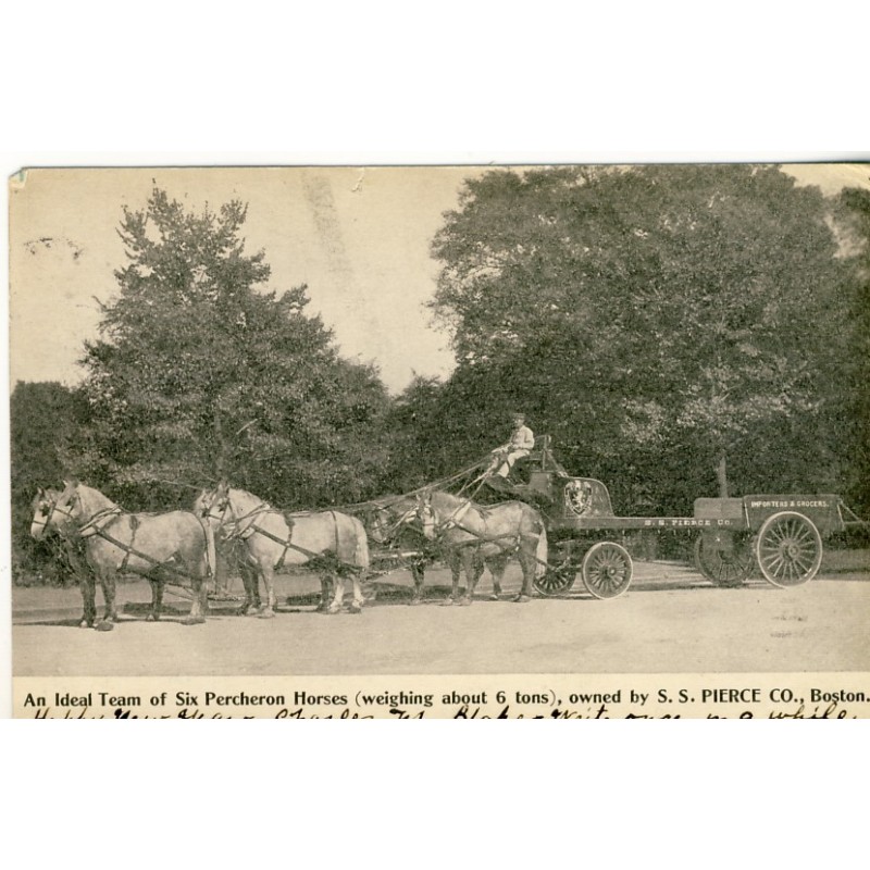 CARTE POSTALE ATTELAGE DE SIX CHEVAUX PERCHERON - S.S. PIERCE CO., BOSTON