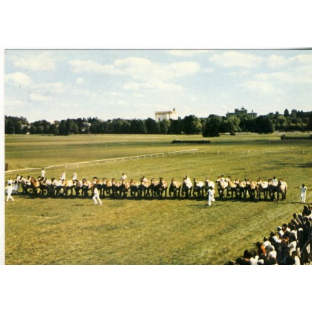 CARTE POSTALE LE CHEVAL DE TRAIT ARDENNAIS  - CONCOURS SPECIAL A VITTEL