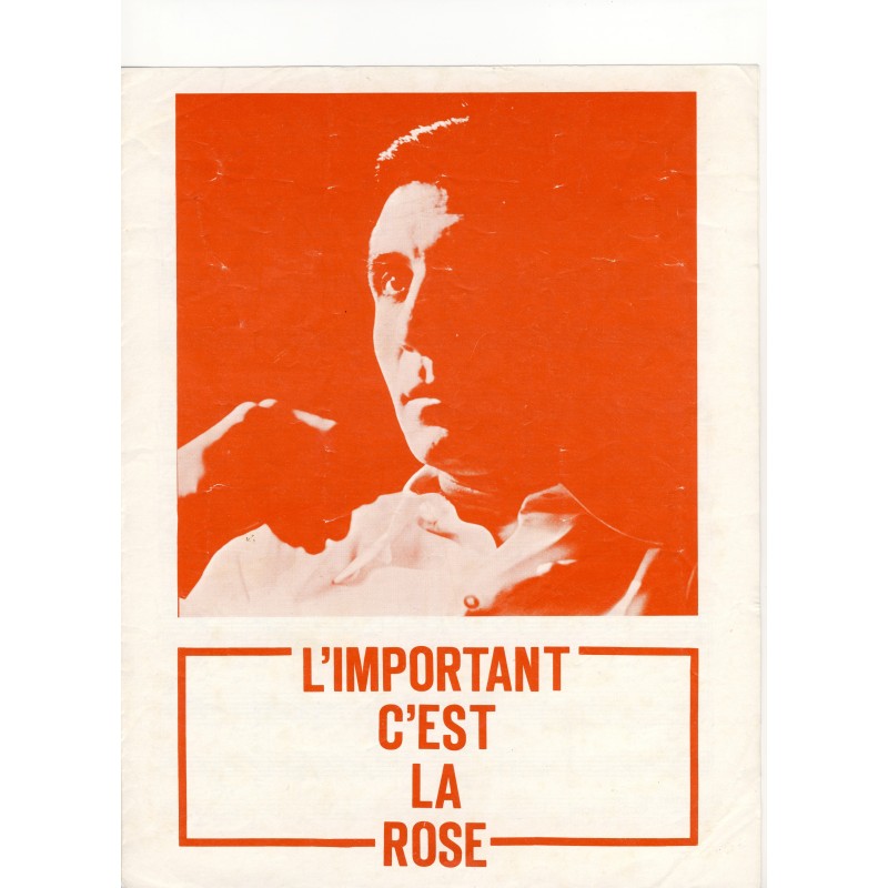 l-important-c-est-la-rose