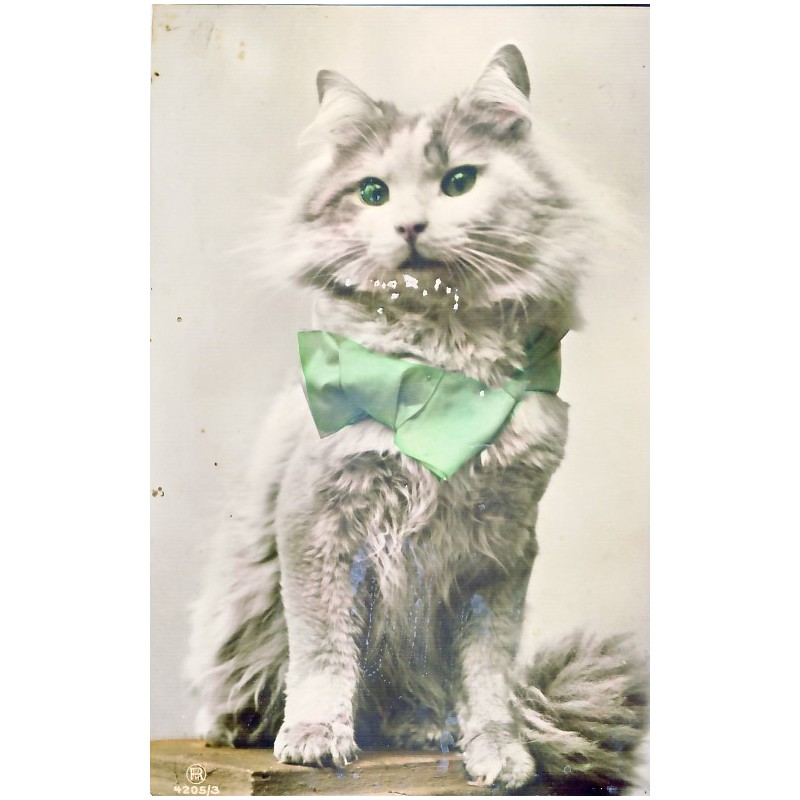 CARTE POSTALE CHAT A NOEUD PAPILLON VERT - RPH (ROTOPHOT BERLIN) 