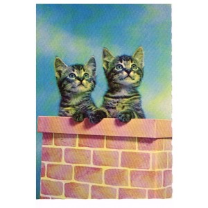 CARTE POSTALE CHATONS SUR UNE CHEMINEE